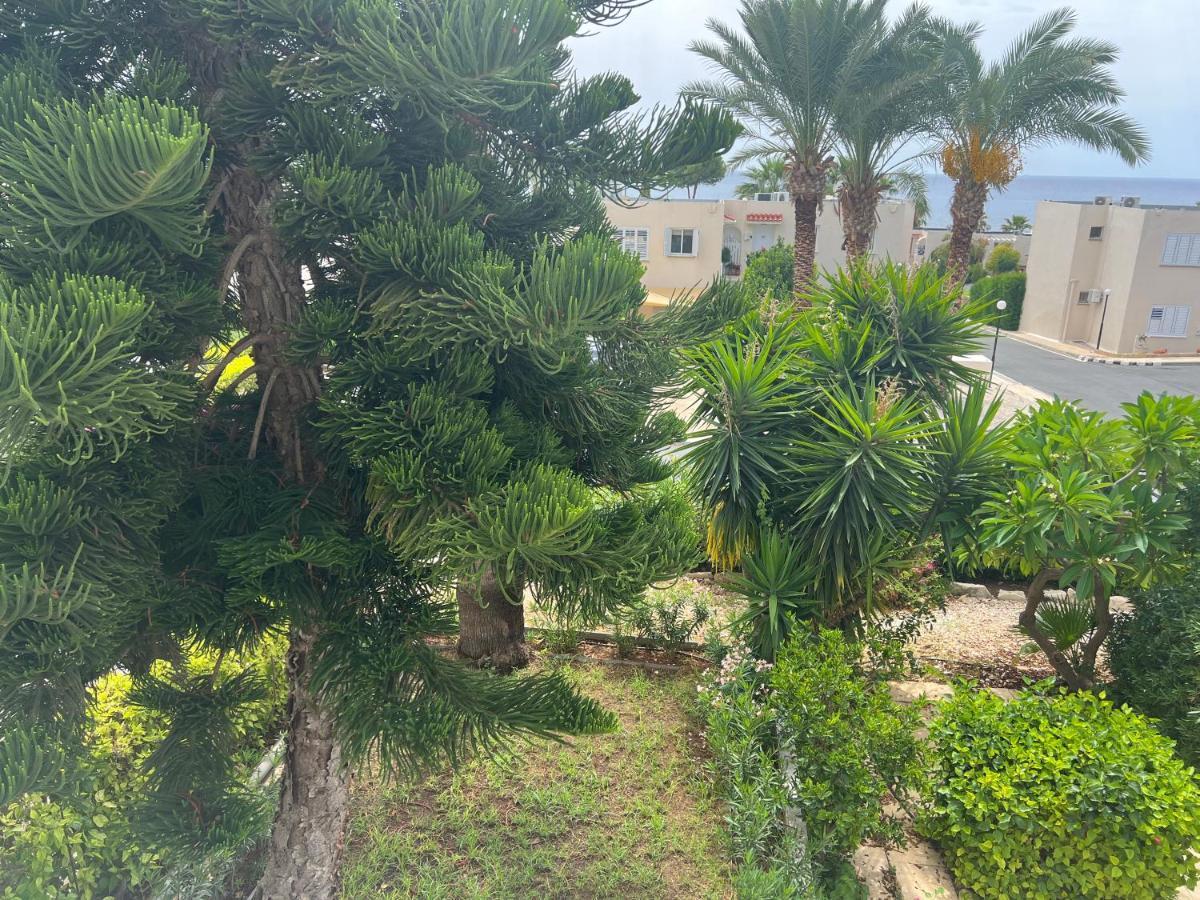 شقة Modern Seaview Townhouse In Coral Bay (Adults Only) بييا المظهر الخارجي الصورة