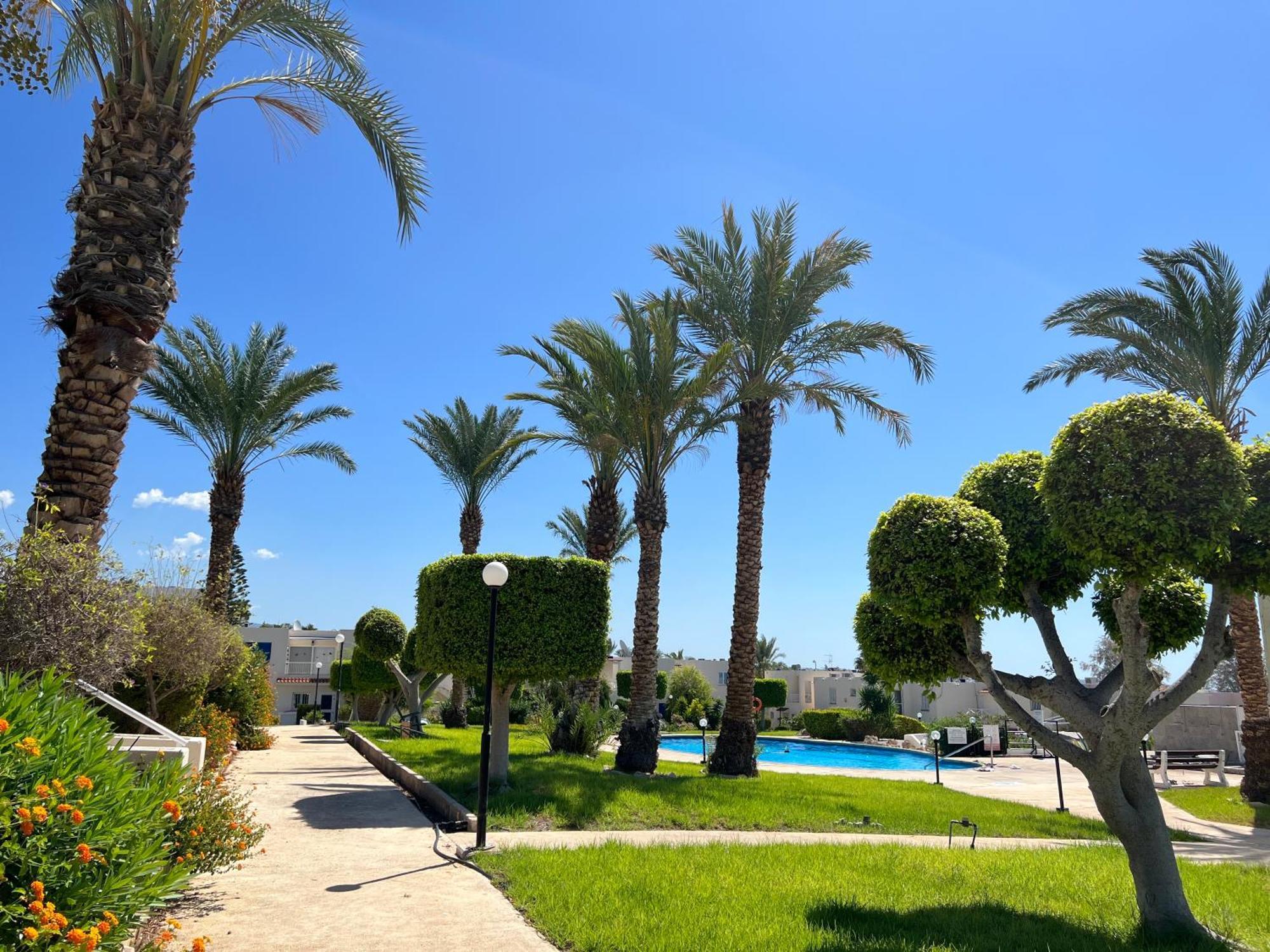 شقة Modern Seaview Townhouse In Coral Bay (Adults Only) بييا المظهر الخارجي الصورة
